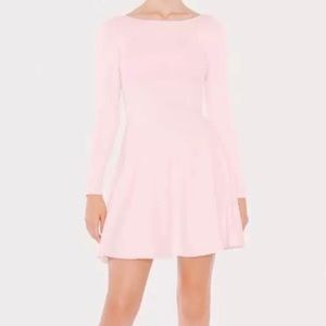 AmericanApparel Ponte LongSleeve Pink Skater Dress
